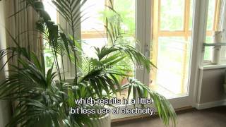 English  Environmental sustainability A1A2  with subtitles [upl. by Oinolopa875]