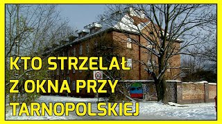 Legnica Strzelec trafiał w samochody [upl. by Cost402]