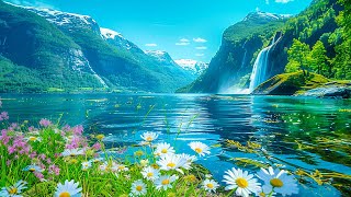 Beautiful Relaxing Music 🌿 Stop Overthinking Stress Relief Music 🌿 Gentle Music [upl. by Gellman]