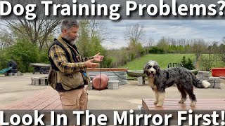 Is Your Dog Misbehaving Find Solutions By Looking In The Mirror [upl. by Mahalia]