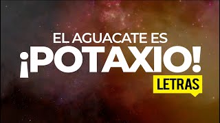 Aguacate Con Potatsio Letras  TikTok Remix El Aguacate Es Potasio [upl. by Rainah]