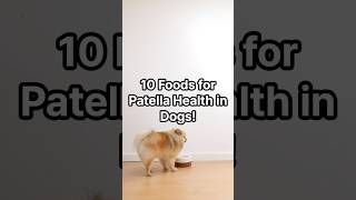 10 Foods for Patella Health in Dogs [upl. by Kared]