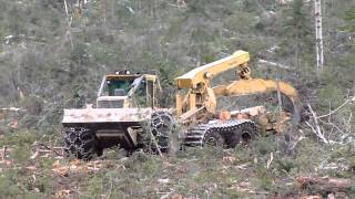 Skidder Tigercat 635D with ECO Soft 26 [upl. by Mariya]