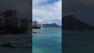 snorkeling in Waikiki Honolulu Hawaii Day 5 [upl. by Adaynek970]