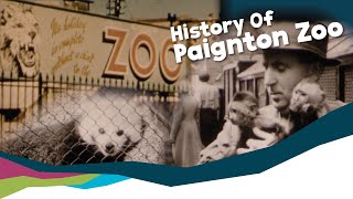 Our History  Paignton Zoo [upl. by Lottie]