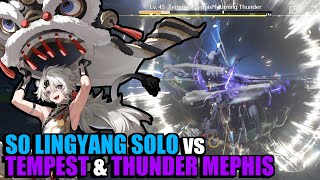 S0C0 LINGYANG SOLO vs lvl45 Tempest amp Thundering Mephis 3 Weapon  Wuthering Waves CBT2 [upl. by Pacian]