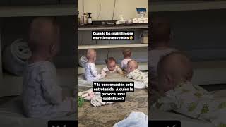 🌟 ¡Se ven divertidos los cuatrillizos 👶👶👶👶 Embarazo múltiple 🤰✨ [upl. by Ayoral363]