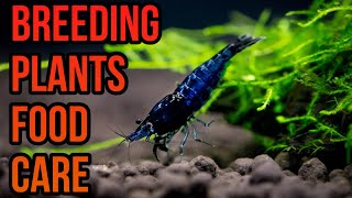 Natural Neocaridina Shrimp Tank Tour 🦐  Beginner Tips amp Channel Intro 🦐🦐🦐 [upl. by Ainimre718]