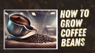 How To Grow Coffee Beans Kid’s Guide to Coffee Bean Magic [upl. by Krahmer587]