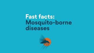 Fast Facts Mosquitoborne diseases [upl. by Sanchez]