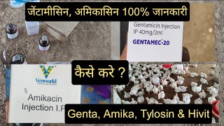 Genta Amikacin Injection for Poultry  इंजेक्शन की डोज़ कैसे बनाएं  Tylosin For Broiler [upl. by Obara]