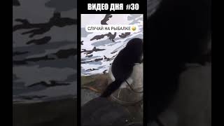 Видео дня 30 npbfx [upl. by Nitram138]