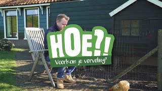 Hoe voorkom je verveling van je kip  HOE  Welkoop [upl. by Tichon]