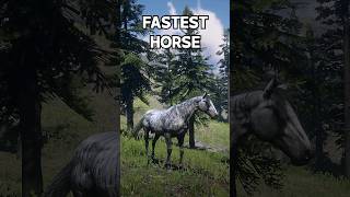 999 Doesnt know this  FASTEST Horse RDR2 [upl. by Yrahcaz]