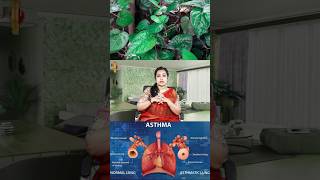 ஆஸ்துமா பிரச்சனைக்கு தற்போதைய தீர்வு இதுதான் 😲  Asthma [upl. by Isabelle]