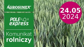 Zabieg T3 w pszenicy ozimej  komunikat POLE express  Agrosimex [upl. by Goldfinch533]