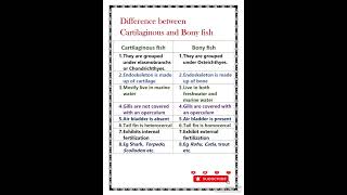 Difference between Cartilaginous and bony fish [upl. by Nehepts]