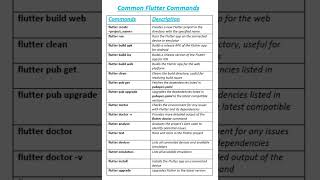 Flutter Commands Every Developer Should Know  flutter run  flutter build  apk build [upl. by Aivatal]