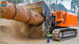 606 EXTREME Dangerous Huge Wood Chipper Machines  Best Of The Week [upl. by Fidelity]