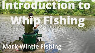 Introduction to Whip Fishing  Part 1 [upl. by Gney]