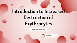 ASCP  MLS  MLT  Hematology  Introduction to Increased Destruction of Erythrocytes [upl. by Oaks]