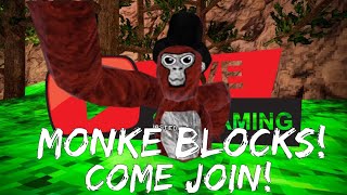 LIVE NEW MONKE BLOCKS UPDATE [upl. by Martz654]