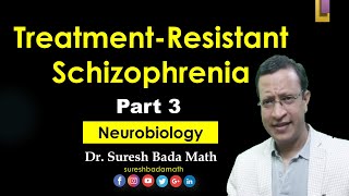 Treatment Resistant Schizophrenia Part 3 Neurobiology [upl. by Larred]