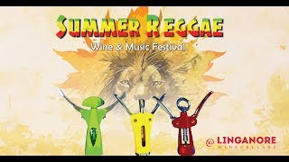 Summer Reggae 2019  Linganore Winecellars [upl. by Duvall]