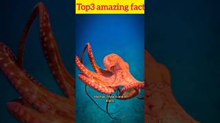 Top3 amazing fact about octopas top3amazing motivation facts [upl. by Ardnekat]