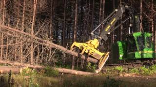 Tree Harvesting 2018 [upl. by Eisinger]