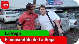 El consentido de La Vega  La Vega  T1E13 [upl. by Heise]