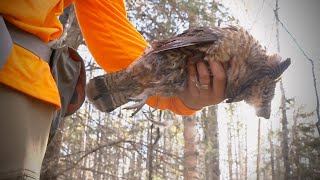 Lake Superior Ruffed Grouse  The Flush Season 13 Episode 2 [upl. by Manya801]