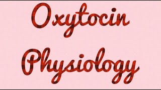 Oxytocin physiology simple detailed diagrams fast learning exam preparation [upl. by Nyrb]