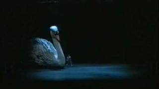 Swan Lake  Deutsche Oper Berlin Part 1 [upl. by Haimerej319]