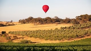 Luxury Wine amp Fine Dining in the Barossa Valley [upl. by Ennoitna]