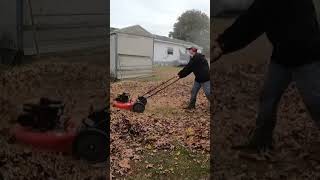 Mulching leaves with push mower powertool satisfying leaves [upl. by Dahcir350]