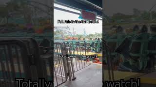 seaworld icebreaker rollercoaster seaworldflorida amusementpark vlog shorts [upl. by Kamin113]