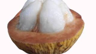 Santol Fruit Health Benefits [upl. by Sigfrid]