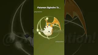 Patamon Evolution to Angemon [upl. by Annat]