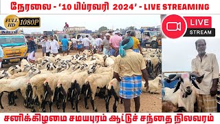 திருச்சி சமயபுரம் ஆட்டுச் சந்தை நேரலை  Trichy Samayapuram aattu santhai Live  Tamilnadu Pets [upl. by Adnicul]