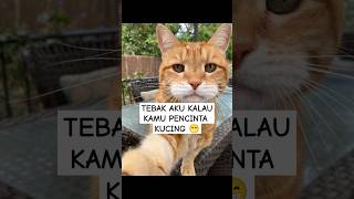 Tebak  Tebakan Part 20 Tentang Kucing edukasi tebaktebakan shorts kucing kucinglucu quiz [upl. by Esemaj]