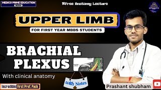 Brachial Plexus  Upper limb Anatomy  1st year MBBS Lecture  Clinical Anatomy of brachial plexus [upl. by Airamak]