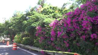 Driving Though El Vigia in Ponce Passing Castillo Serrallés and Cruceta del Vigía [upl. by Renie]