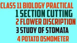 Class 11 biology practical core experiments and slide [upl. by Michaeline127]