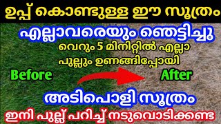 ഉപ്പ് മതി പുല്ല് പറിച്ച് നടുവൊടിക്കണ്ട പണിക്ക് ആളെ വച്ച് പണം കളയണ്ട  Easy Grass Killer [upl. by Colvin]