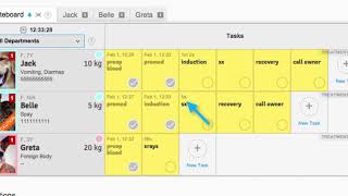 TUTORIAL How the Time Stamp Works in SmartFlow [upl. by Rodmun]