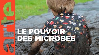 Vive les microbes   ARTE [upl. by Thoma68]