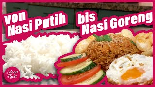 Vom einfachen weißen Reis bis zum köstlichen Nasi Goreng – im Handumdrehen auf dem Tisch [upl. by Oakie]