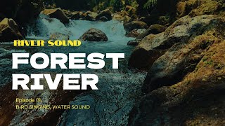 Relaxing Stream Sounds Sleep or Meditate Forest Water Stream Nature Sound river riversounds [upl. by Sarge]