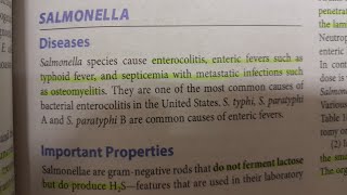 Salmonella  MICROBIOLOGY [upl. by Bobbette128]